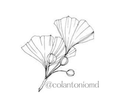 Stephanie Colantonio, MD