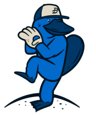 Book an Appointment with Bridge Pitching for Pitching