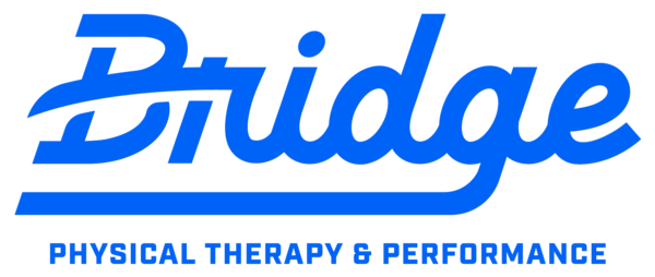 Bridge Physical Therapy and Performance 