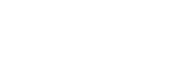 Little Bloom Physical Therapy