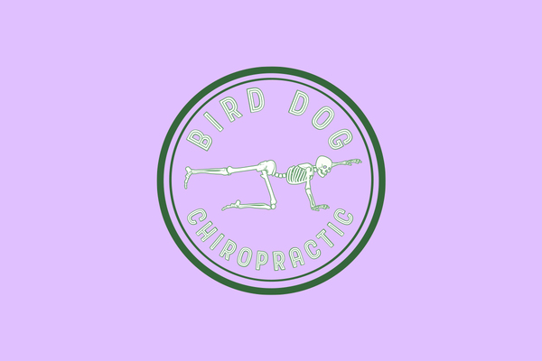 Bird Dog Chiropractic