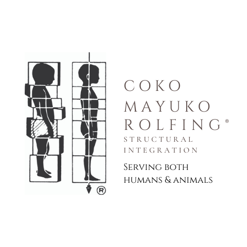 Coko Mayuko Rolfing®