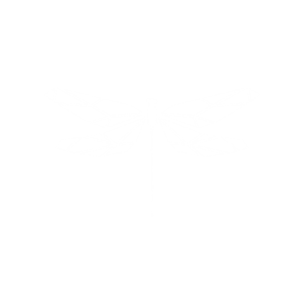 Dragonfly Acupuncture & Massage