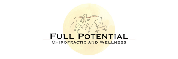 Full Potential Chiropractic & Wellness