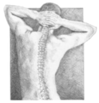 Roseann Spears DC LLC