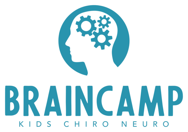 BrainCamp